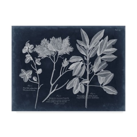 Vision Studio 'Foliage On Navy Vi' Canvas Art,24x32